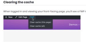 FacetWP Caching