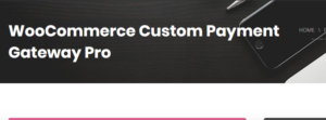 WooCommerce Custom Payment Gateway Pro