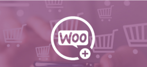 Gravity Flow WooCommerce