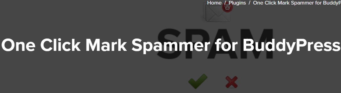 spammer 2