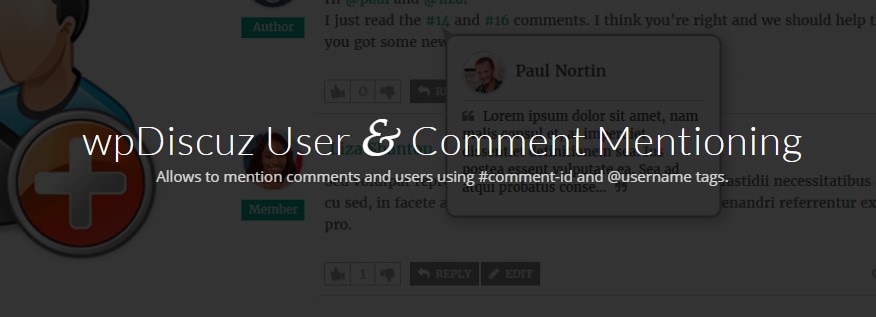 WpDiscuz User Comment Mentioning