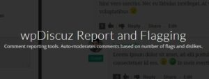 WpDiscuz – Report And Flagging