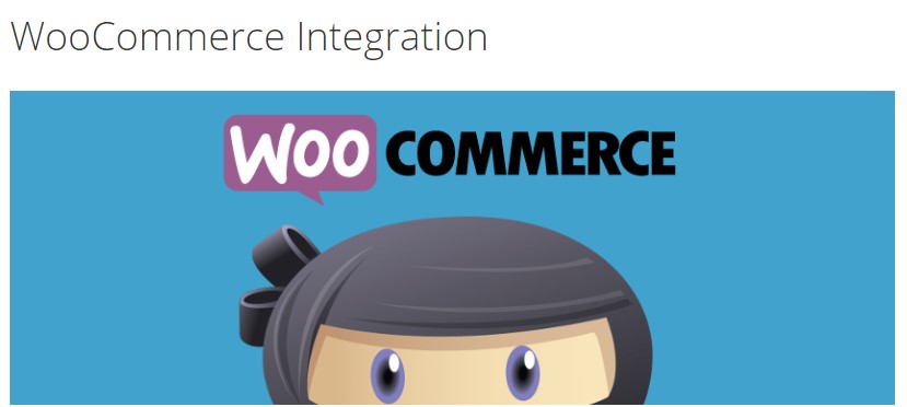 WP Adverts – WooCommerce Integration Addon