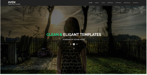 Aven Multipurpose Parallax Muse Template