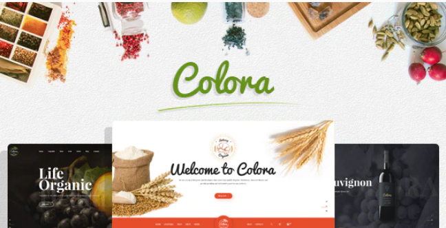 Colora Organic Responsive Prestashop 1.7 Theme