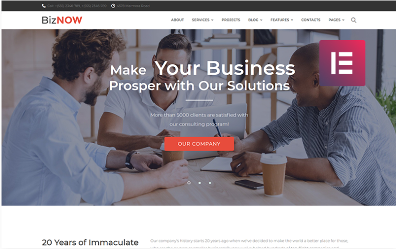 Biznow Business Consulting Elementor WordPress Theme