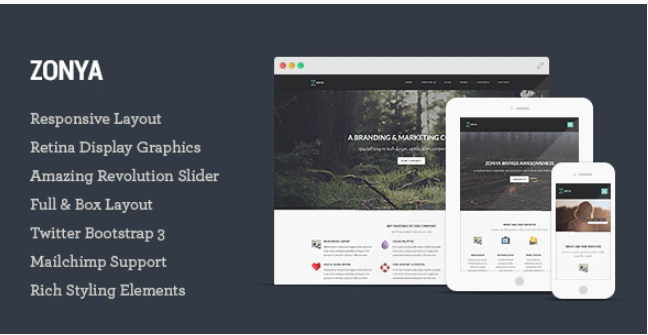 Zonya Multipurpose Responsive HTML5 Template