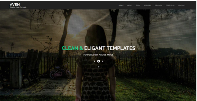 Aven Multipurpose Parallax HTML Template