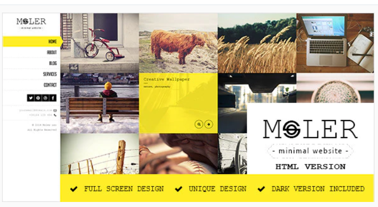 Moler Full Screen Portfolio Template