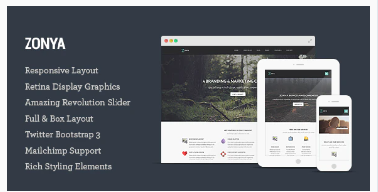 Zonya Multipurpose Responsive HTML5 Template 1