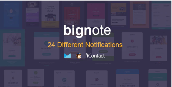 Bignote 24 Unique Responsive Email Notification set Online Access