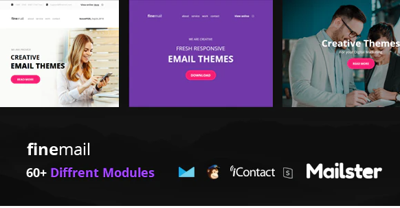 finemail 60 Modules Online Access Mailster MailChimp