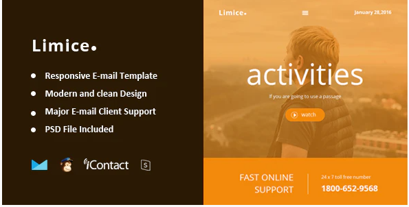 Limice Responsive E mail Template Online Access