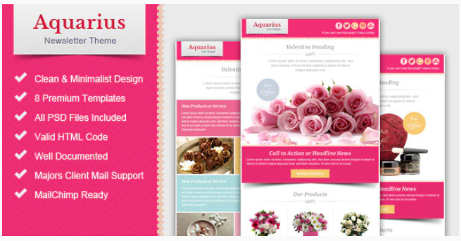 Valentine Email Marketing Newsletter Template