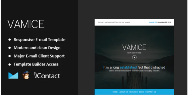 Vamice Responsive Email Themebuilder Access