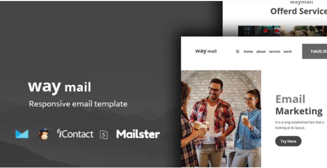 Way Mail 30 Modules Online Access Mailster MailChimp