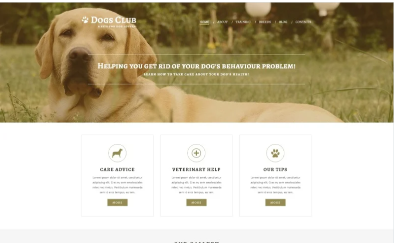 Animals Pets Joomla Template