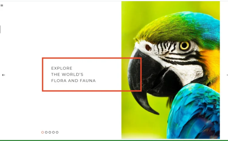 Zoo Flora Fauna Responsive Joomla Template