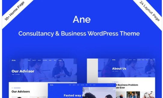 Ane Business Consulting WordPress Theme