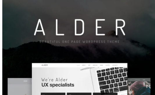 Alder Modern OnePage WordPress Theme