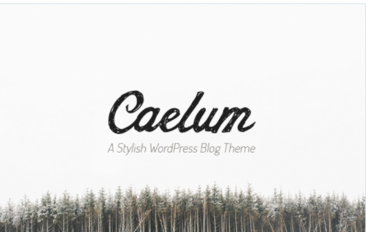 Caelum Minimalistic WordPress Theme