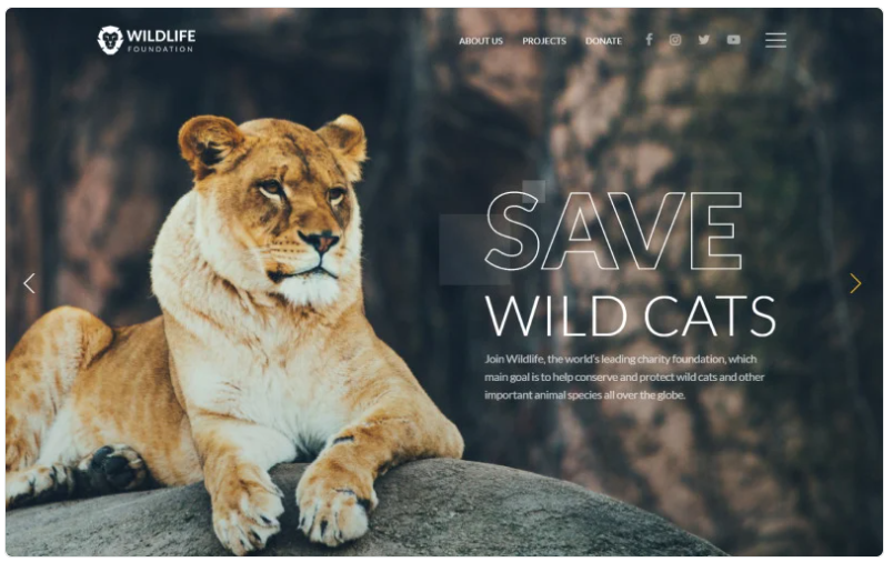 WildLife Wild Life Multipage Creative HTML Website Template