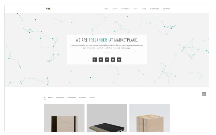 Trim Minimal Portfolio Website Template