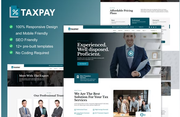 TaxPay Advisor Financial Consulting Elementor Template Kit