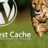 WP Fastest Cache Premium 560x300 1