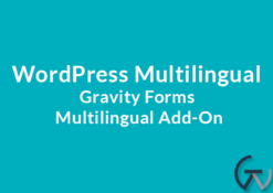 WordPress Multilingual Gravity Forms Multilingual Add-On 1.3.15