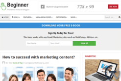 Theme Junkie Beginner WordPress Theme 1.0.1
