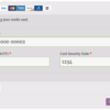 woocommerce authorize net aim pay form