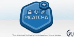 Gravity Forms Picatcha Add-On 2