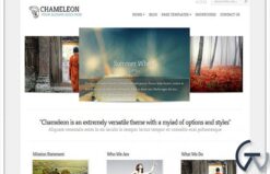 Elegant Themes Chameleon WordPress Theme 3.9.13
