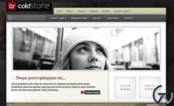 Elegant Themes ColdStone WordPress Theme 6.7.13
