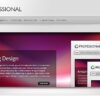 Elegant Themes TheProfessional WordPress Theme 4.0.13 3 slider 1 1 3 560x342 1