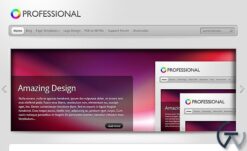 Elegant Themes TheProfessional WordPress Theme 4.0.13