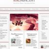 Elegant Themes Magnificent WordPress Theme 3.8.13 3 color zoom 3 560x360 1