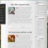 Elegant Themes Memoir WordPress Theme 4.0.13 2 color zoom 1 560x360 1