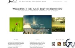 Elegant Themes Modest WordPress Theme 3.9.13