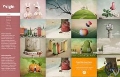 Elegant Themes Origin WordPress Theme 2.4.14