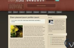 Elegant Themes CherryTruffle WordPress Theme 6.3.13
