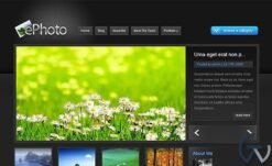 Elegant Themes ePhoto WordPress Theme 7.0.12