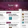 Elegant Themes Glow WordPress Theme 5.1.12 3 slider 2 4 560x342 1