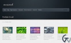 Elegant Themes Envisioned WordPress Theme 3.5.12