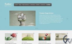 Elegant Themes Feather WordPress Theme 3.2.12