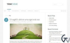 Elegant Themes Trim WordPress Theme 2.3.12