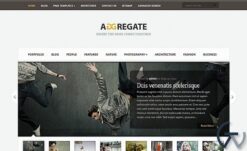 Elegant Themes Aggregate WordPress Theme 3.6.13