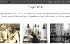 Themify Ultra WordPress Theme 7.8.4