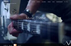 Themify Music WordPress Theme 7.7.0